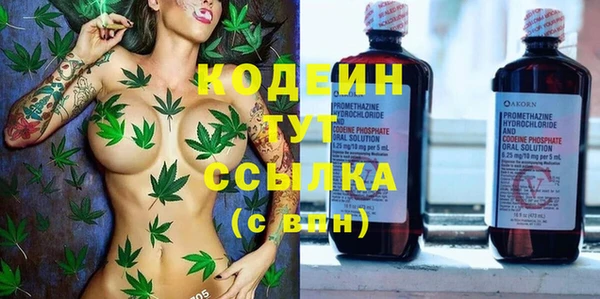 твердый Сатка