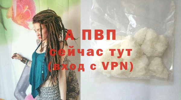 соль ск Магас